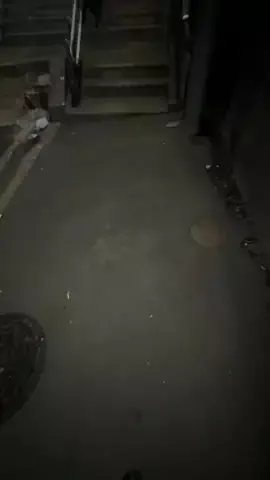 親友のしゃっくりを止めたいのTikTok投稿