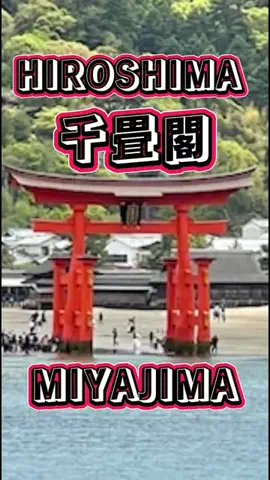 ☆PAL1718彡のTikTok投稿