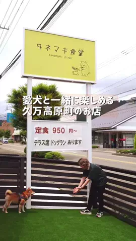 【愛媛の飯テロリスト】まなみん🍺🍚のTikTok投稿