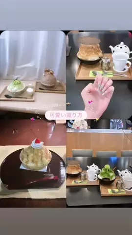 🐶🤍のTikTok投稿
