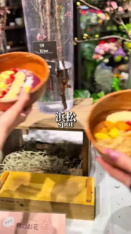 東海スポットのTikTok投稿