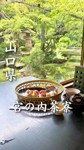 アイリンク（山口情報）のTikTok投稿