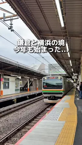 えびなびのTikTok投稿