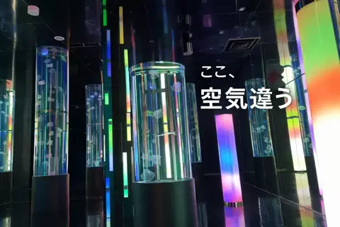 yochan.0303のTikTok投稿