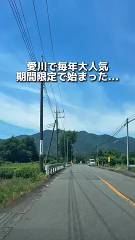 えびなびのTikTok投稿