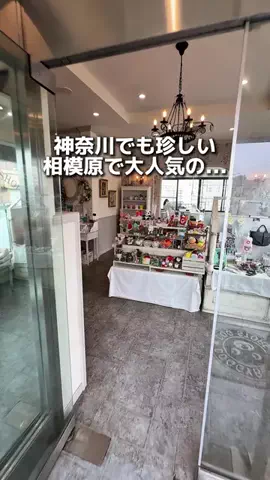 えびなびのTikTok投稿