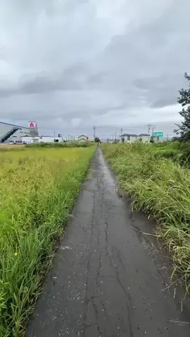 𓆩⚡𝐇𝐀𝐌𝐙𝐀_𝐄𝐃𝐈𝐓𝟓𝟔⚡𓆪のTikTok投稿