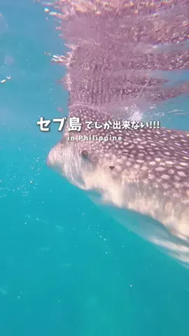 ひとみん@東京発デート旅のTikTok投稿