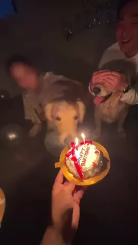 ちあとひまわりのTikTok投稿