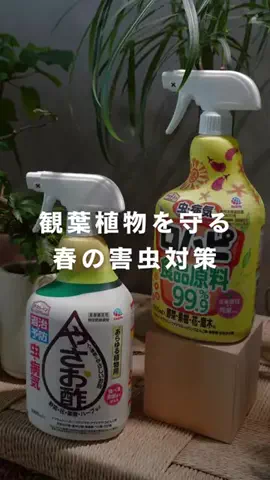 かい | 園芸インストラクターのTikTok投稿