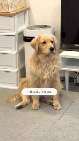 ちあとひまわりのTikTok投稿