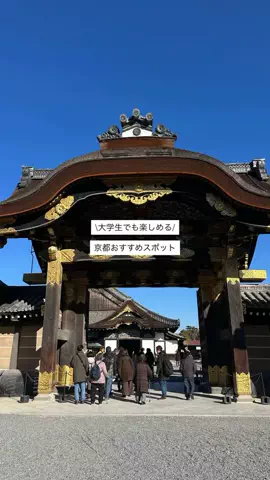 なみちゃん旅のTikTok投稿