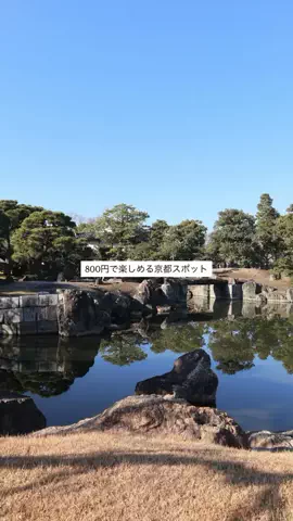 なみちゃん旅のTikTok投稿
