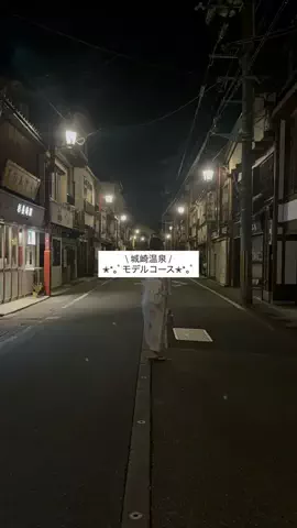 なみちゃん旅のTikTok投稿