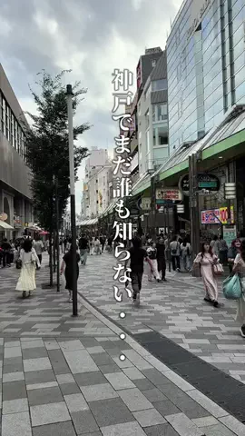 神戸グルメまひろのTikTok投稿