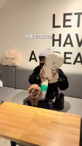 コスパ旅@コスパ良くオシャレに旅行✈️のTikTok投稿
