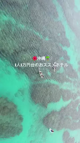 なみちゃん旅のTikTok投稿