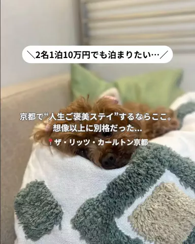 コスパ旅@コスパ良くオシャレに旅行✈️のTikTok投稿