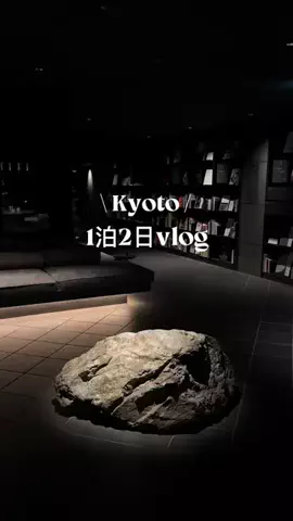 なみちゃん旅のTikTok投稿