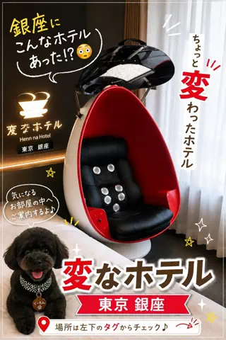 ritsu🐶💚🐎のTikTok投稿