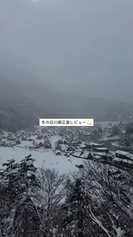 なみちゃん旅のTikTok投稿