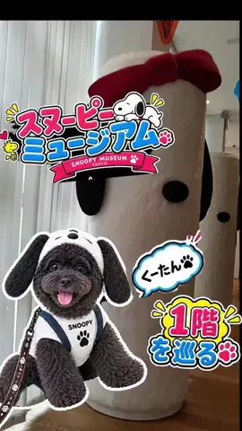 ritsu🐶💚🐎のTikTok投稿