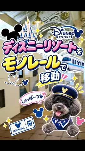ritsu🐶💚🐎のTikTok投稿