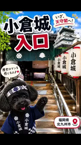 ritsu🐶💚🐎のTikTok投稿