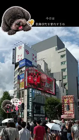 ritsu🐶💚🐎のTikTok投稿
