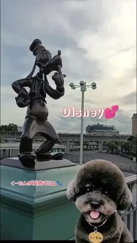 ritsu🐶💚🐎のTikTok投稿