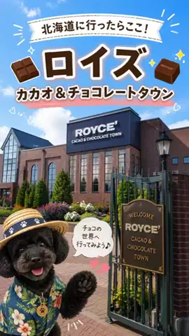 ritsu🐶💚🐎のTikTok投稿