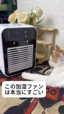 もえのおすすめのTikTok投稿
