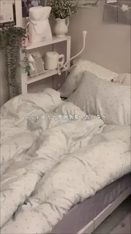 はぽのお部屋のTikTok投稿