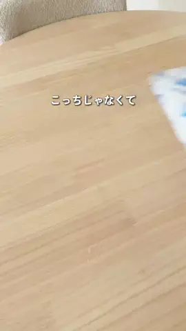 WANのTikTok投稿