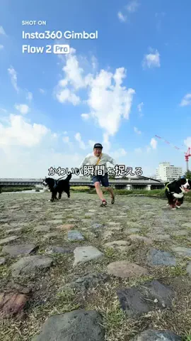 名前はこれから_バーニーズのTikTok投稿