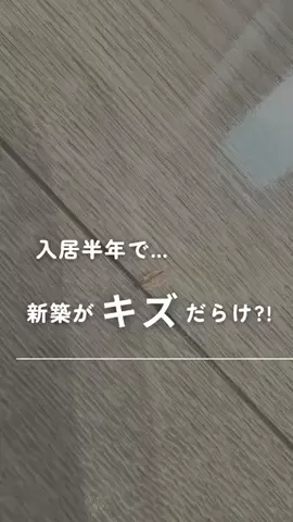 tacho__homeのTikTok投稿