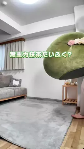 ちびのっぽ🏠ズボラでもできるラク家事術のTikTok投稿