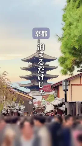 愛知▶︎子どもの感性を育てる体験スポット｜かよのTikTok投稿