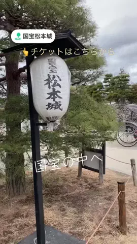 37歳の日常のTikTok投稿