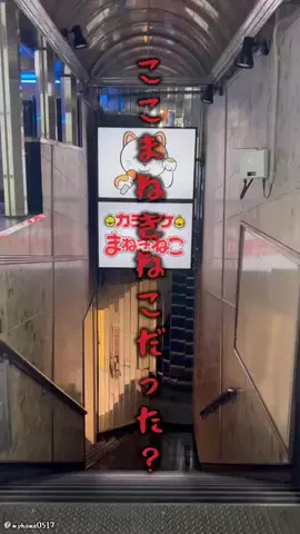 まるのTikTok投稿