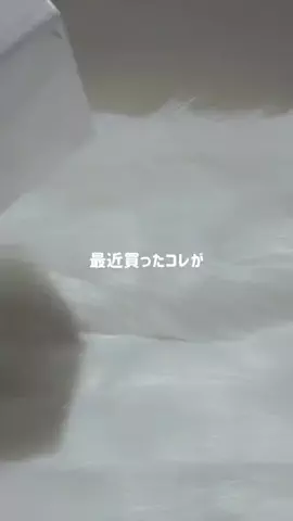 akuのTikTok投稿