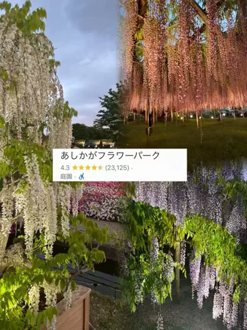 かな？｜台湾ワーホリ中🇹🇼のTikTok投稿