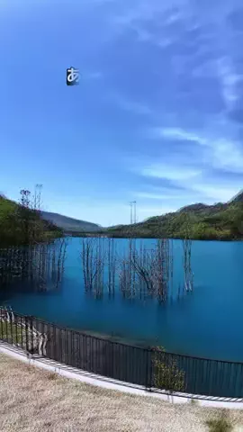 yukenのTikTok投稿