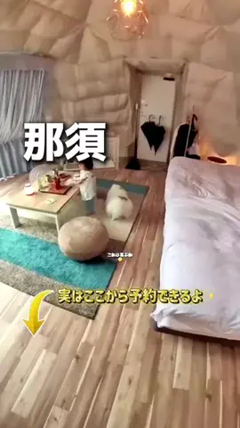 のりママのTikTok投稿