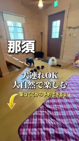 のりママのTikTok投稿