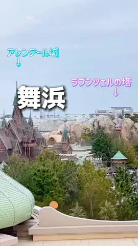 のりママのTikTok投稿
