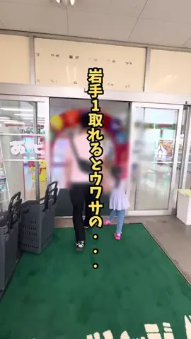 岩手情報局 |岩手県民に寄り添う総合メディアのTikTok投稿