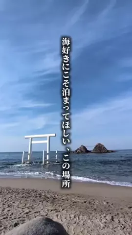 ココロ旅人のTikTok投稿