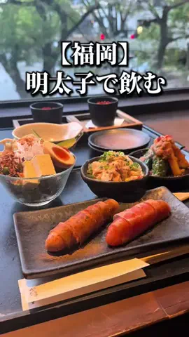 ドンマンログ【福岡居酒屋/福岡ランチ】のTikTok投稿