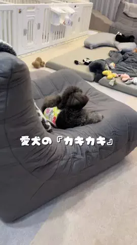 Ⓜ️ゆりあか🧸のTikTok投稿